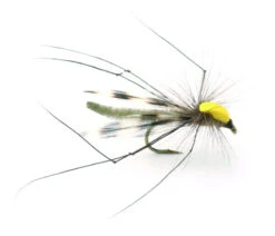 Parachute Longlegs - 10