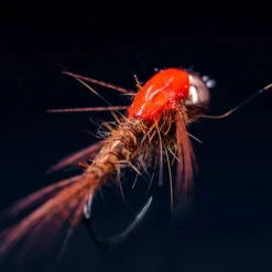 Loon UV Fly Finish -Goedkope Vis Fanaat Winkel F0728r 8