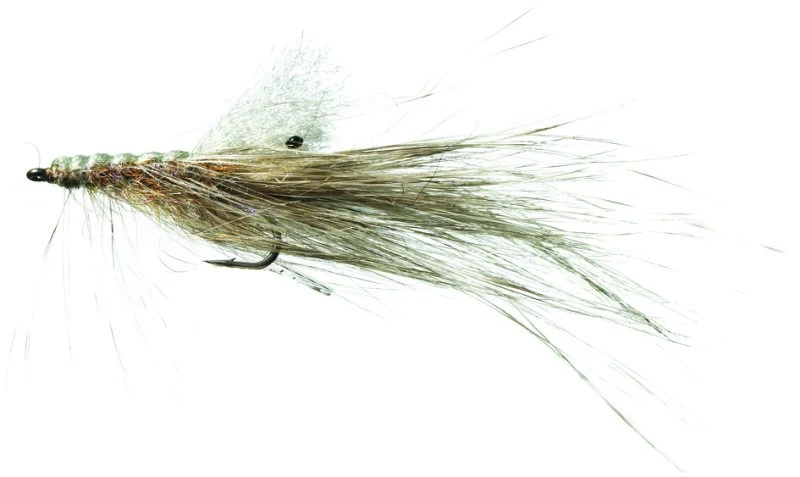 Pattegrisen Grizzly UV Bombardo Fly 3 Pattegrisen Grizzly UV Bombardo Fly