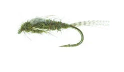 A.P. Olive Olive TMC 3761 #12