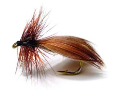 Nattländer Brown TMC 2302 #12