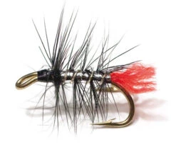 Zulu Silver Palmer Black