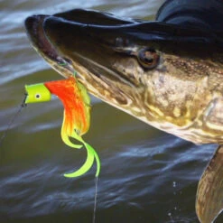 Howitzer Popper Heads -Goedkope Vis Fanaat Winkel SS HP WLr 3