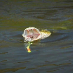 Howitzer Popper Heads -Goedkope Vis Fanaat Winkel SS HP WLr 4