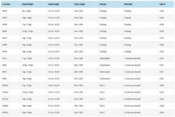 Vision Attack WF -Goedkope Vis Fanaat Winkel VC3Fr 3