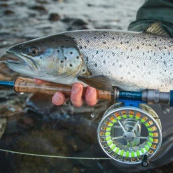 Vision Stifu Flyrod -Goedkope Vis Fanaat Winkel VFU4967r 3