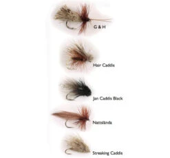 Dry Fly Sedges 5-pak
